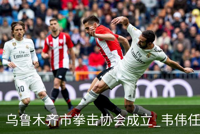 乌鲁木齐市拳击协会成立 韦伟任会长